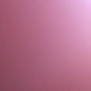 Meet your Posher, Layla